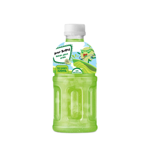 Nata de Coco Juice Drink Melon Flavor Private Label