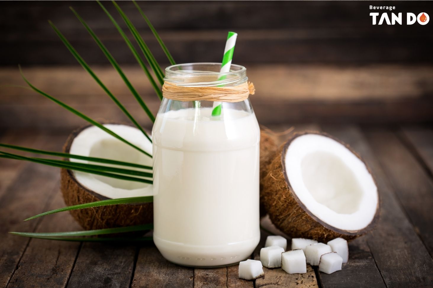 Benefits of Coconut Milk Beverage