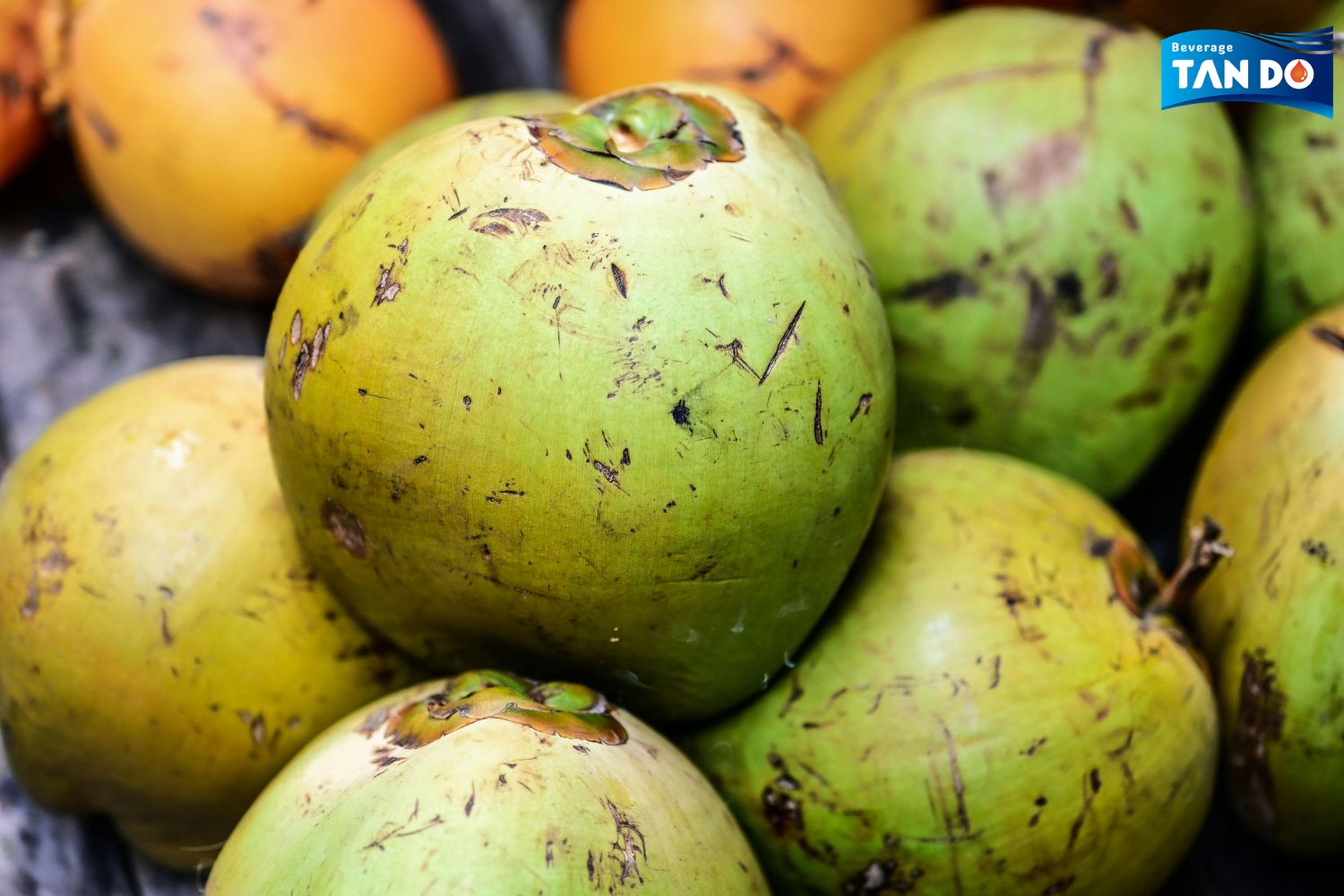 Coconut Water Asian Fruit