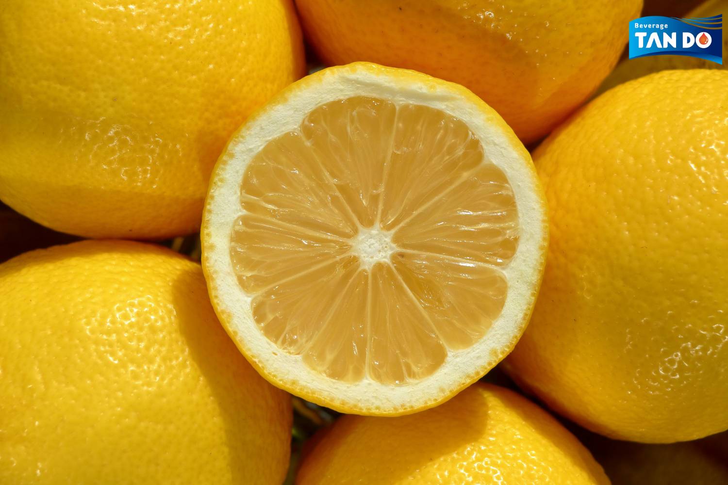 Lemon Fruit for Asian