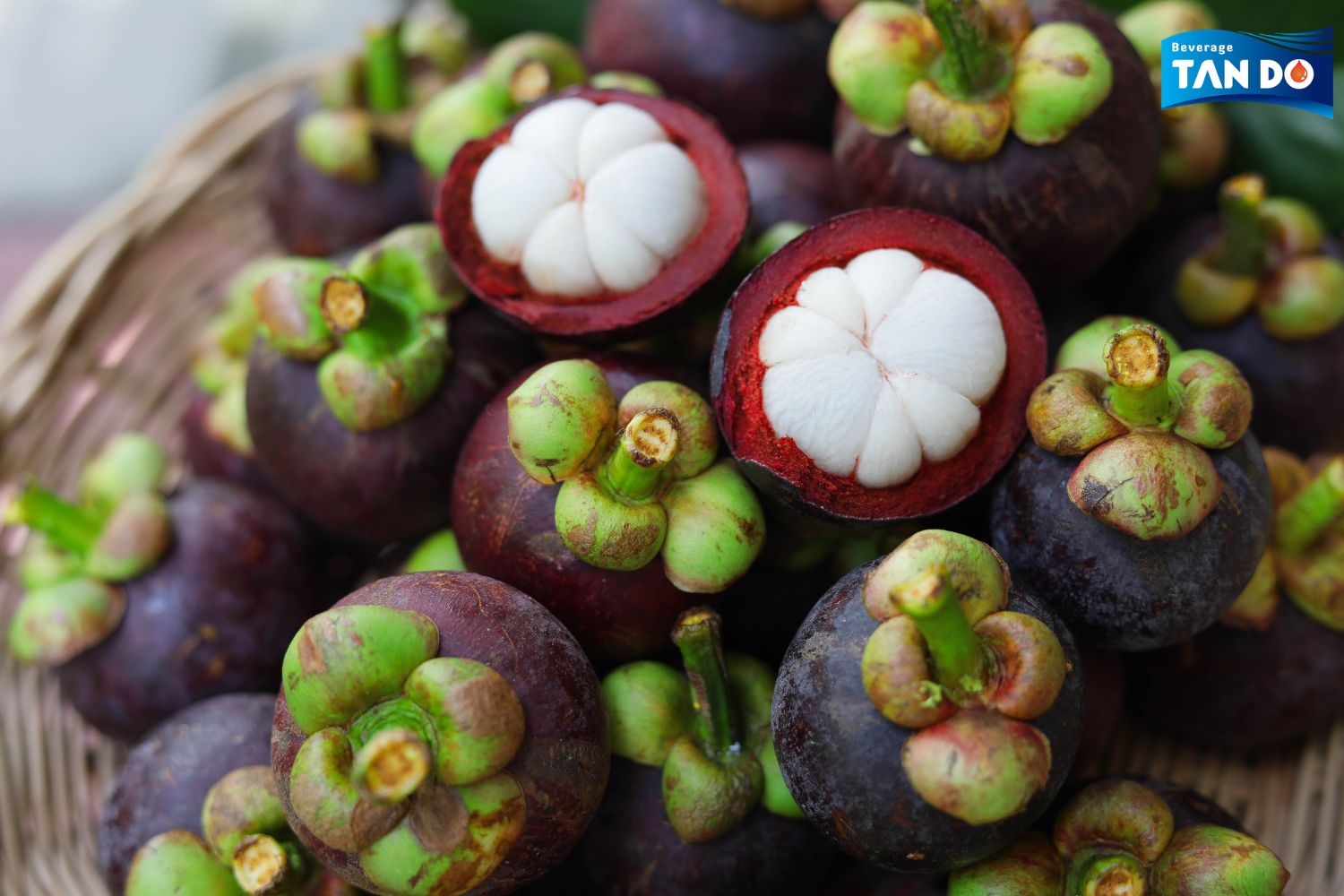 Mangosteen