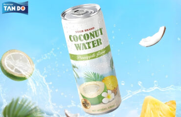OEM ODM Private label The smart way to launch canned coconut drink before summer