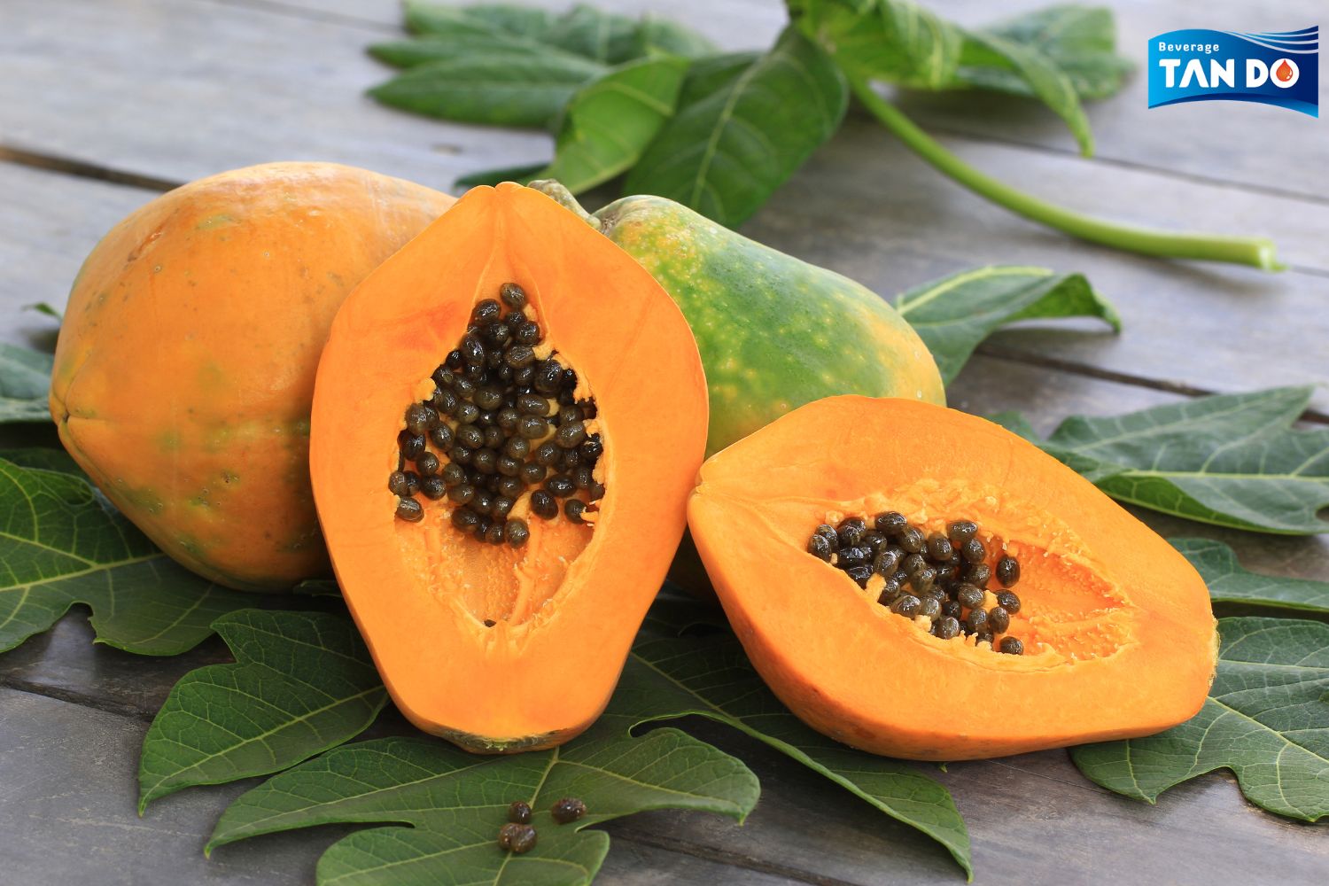 Papaya