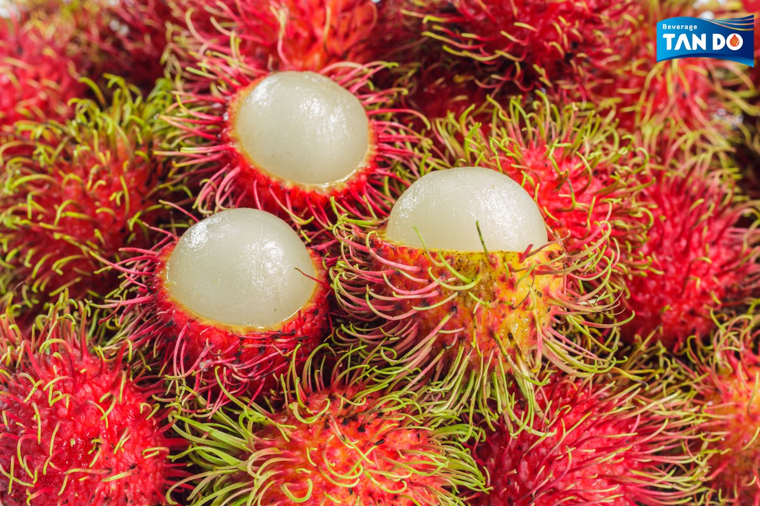 Rambutan