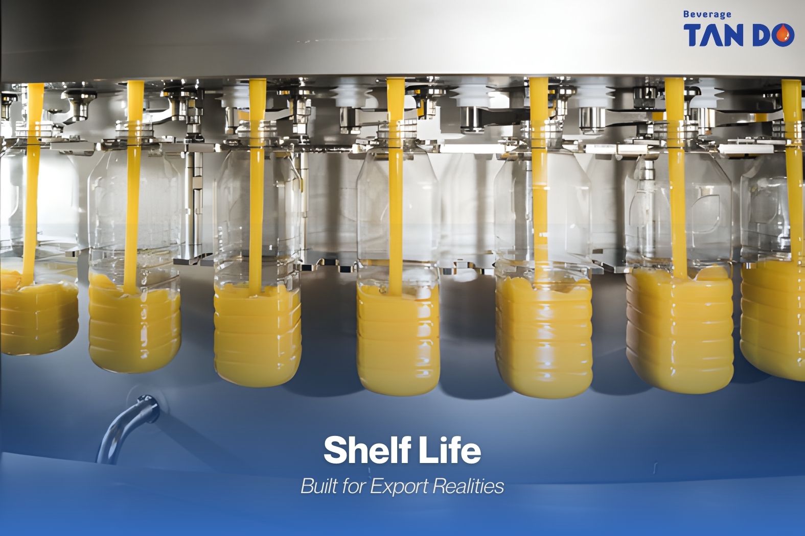 Shelf Life Built for Export Realities