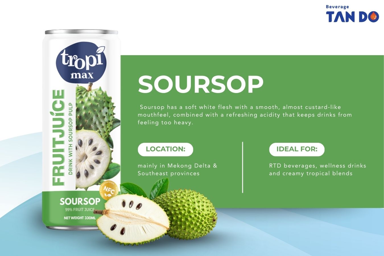 Soursop Beverage Fruit Drink