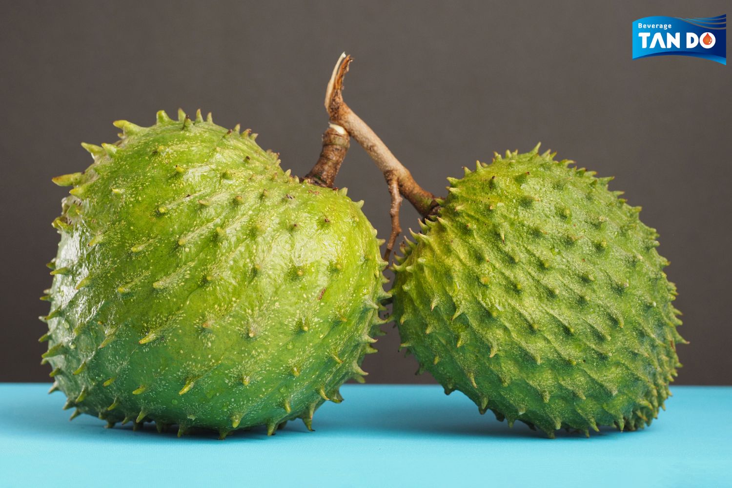 Soursop asia fruit