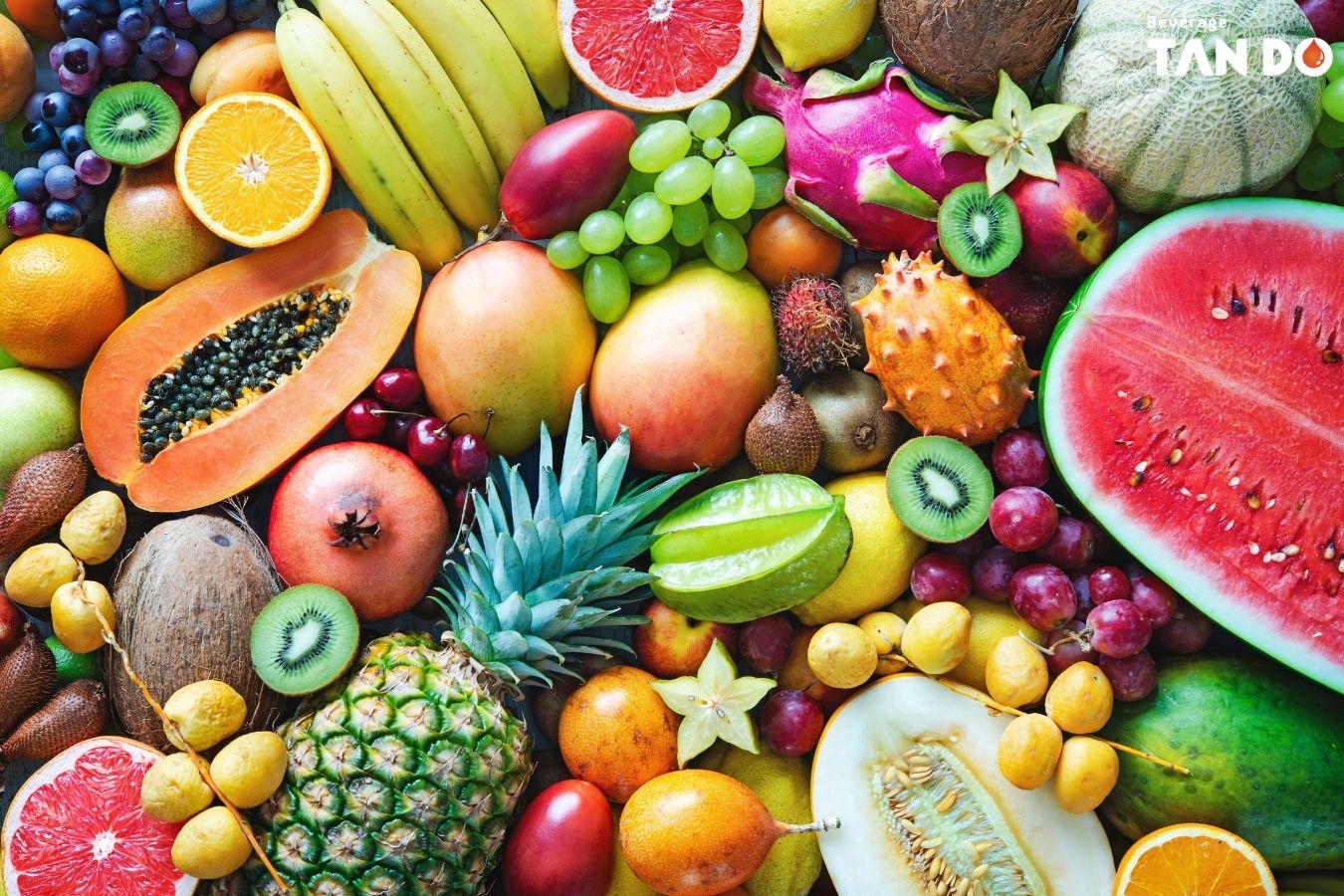 The Diversity and Uniqueness of Vietnamese Fruits