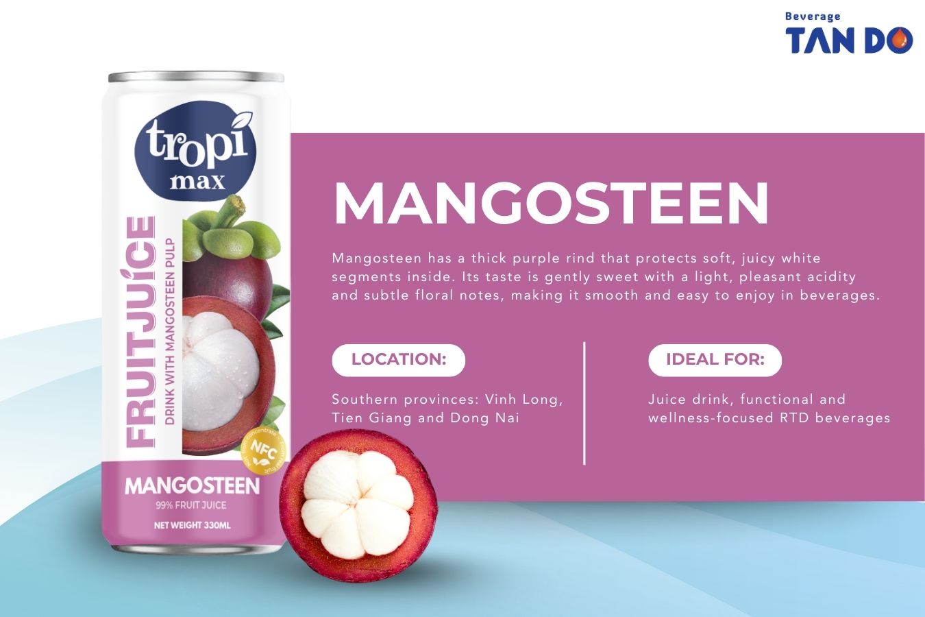 Vietnamese Fruits - mangosteen