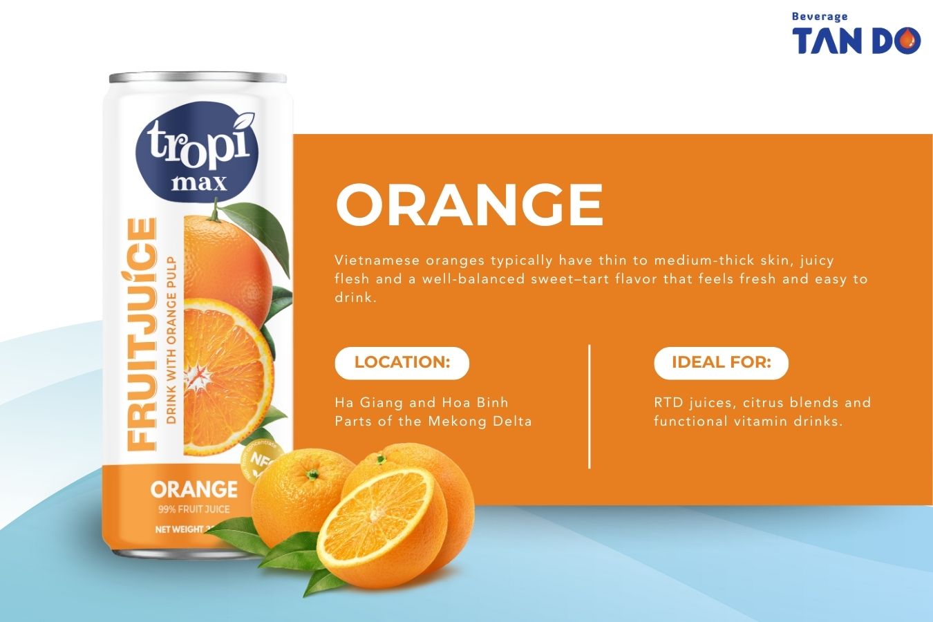 Vietnamese Fruits - Orange