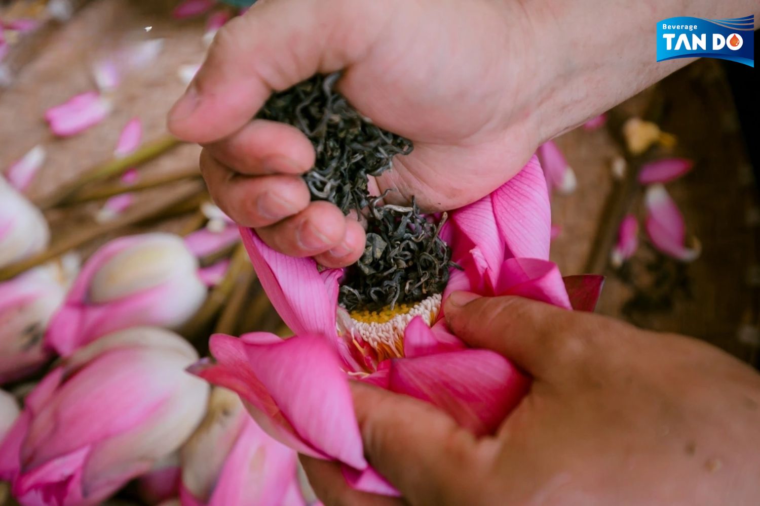 Vietnamese Lotus Tea