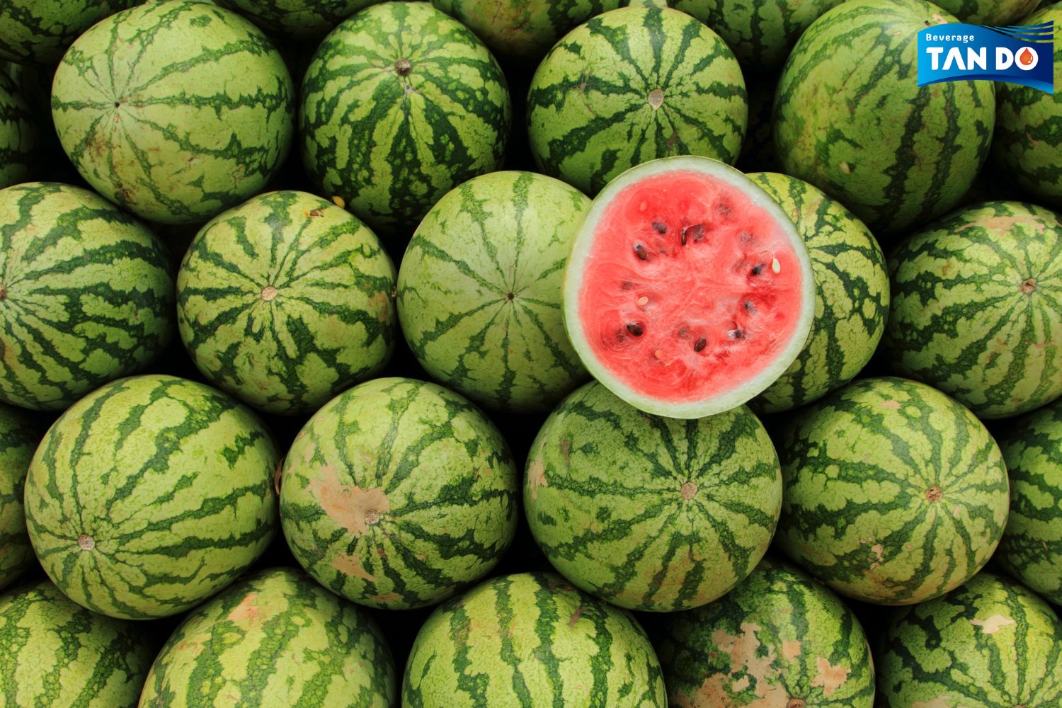 Watermelon fruit juice