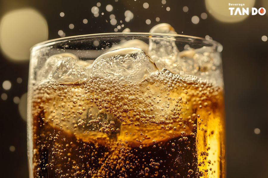 What is Inside a Carbonated Drink