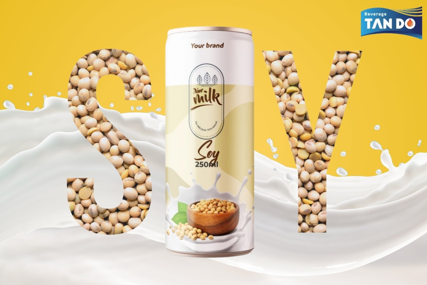 What Is Chocolate Milk Soy